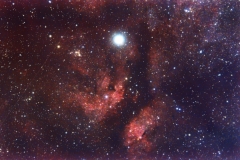 IC1318