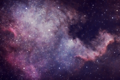 NGC 7000